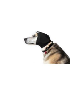 Rex Specs Hundegehörschutz schwarz