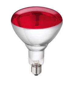 Philips Hartglas-Infrarotlampe 150 Watt 1 Stück rot 