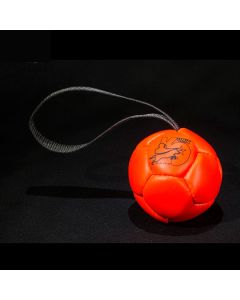 Julius K9 Schautraining Ball orange