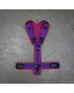 Anny-X harnais LE Fun berry/violette