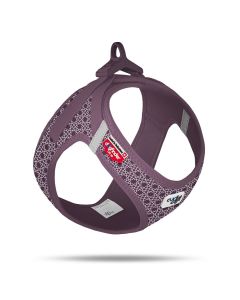 Curli Geschirr Air-Mesh Prince Purpl Special Edition 2022