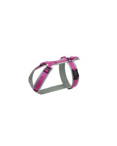 Anny-X Geschirr Fun grau-pink
