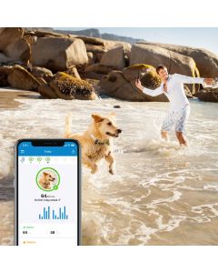 Tractive GPS Tracker Dog 4