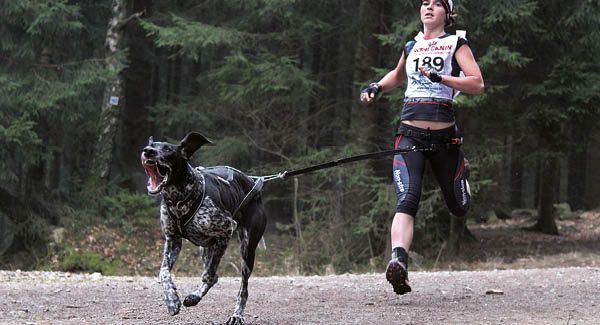 Tough Dogz Run: le parcours d'obstacles avec le chien