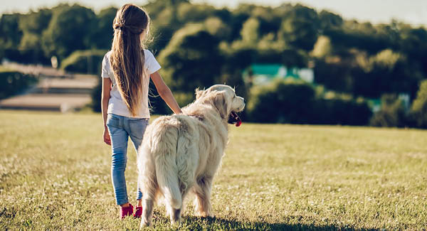 Kinderwunsch: «Mami, ich will einen Hund»