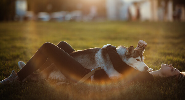 Mensch und Hund gut verbunden