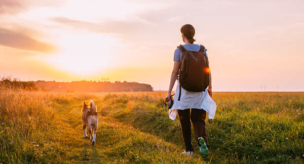 Wandern mit Hund – Tipps für das Pfoten-Abenteuer