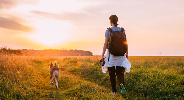 Randonnée avec un chien