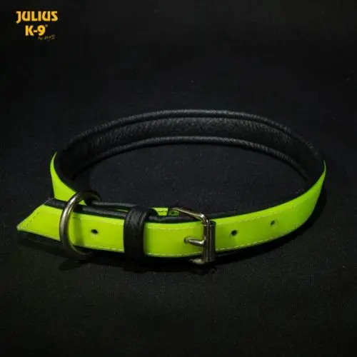 Julius k9 medium outlet