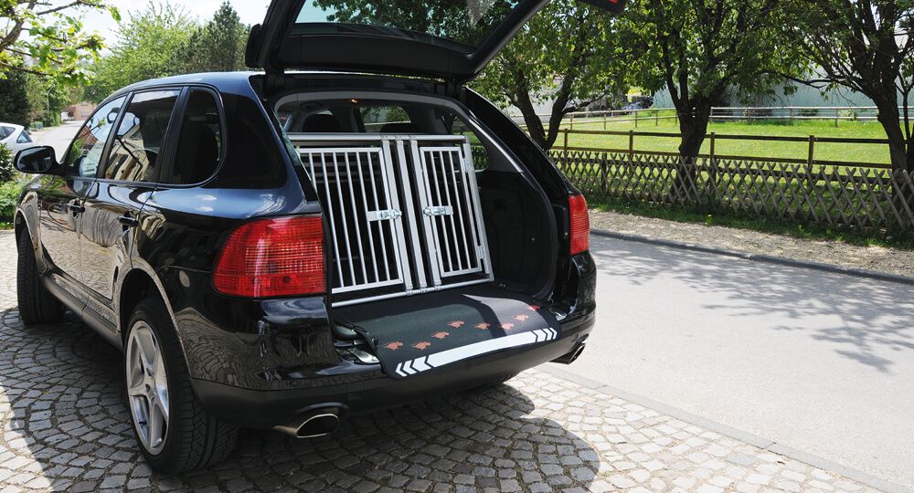 Panier de transport pour chien en voiture