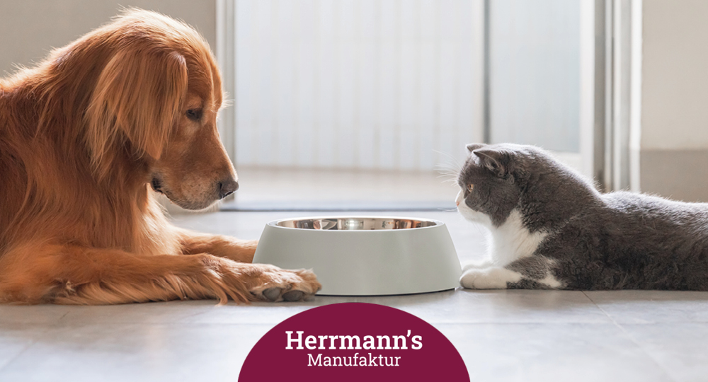 Hund und Katze mit Futter von Herrmann's