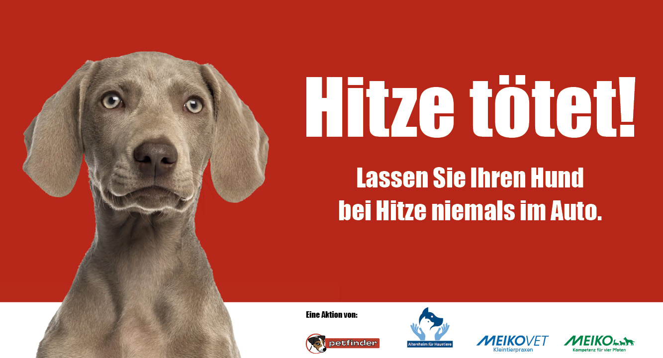 Hitze tötet Hunde