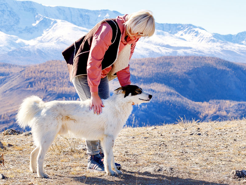 Frau wandert mit Hund in den Bergen