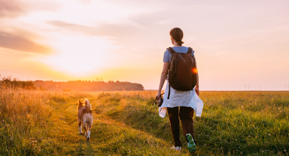 Hund mit Besitzerin auf Wanderung während Sonnenuntergang