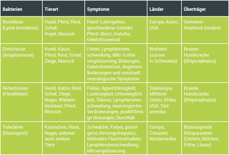 Infotabelle über Krankheiten welche von der Zecke übertragen werden 