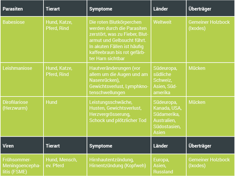 Informations Tabelle über Krankheiten welche durch die Zecken übertragen werden
